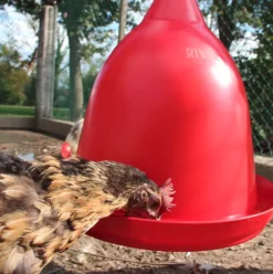 Abreuvoir poule automatique à cloche avec petite gouttière et contrepoids - River Systems