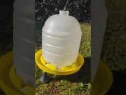 Abreuvoir Siphoide avec bouchon, poignée et pieds 15L