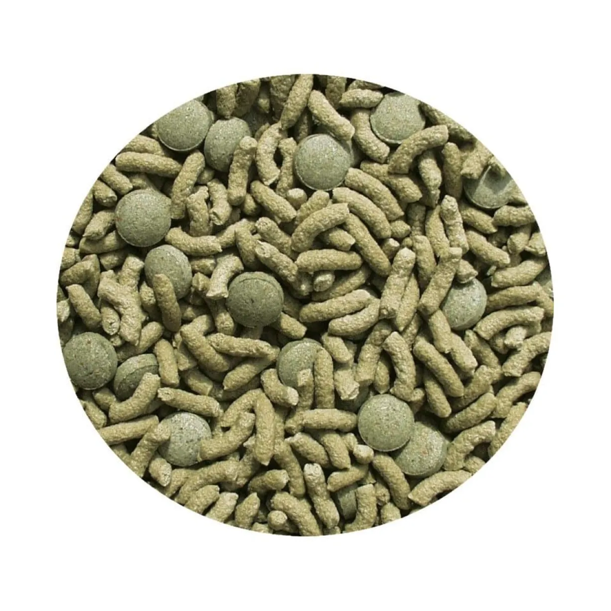 Aliment complet pour tortues terrestres adultes Tortoise Adult Vital Mix 250ML - Sera