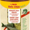 Aliment composé pour Ancistrus et autres Loricariidés Pleco Chips Nature 100ML - Sera