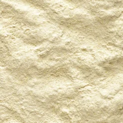 Aliment d’élevage à la main pour amazones, cacatoès, grandes perruches NutriBird A21 800g - Versele Laga