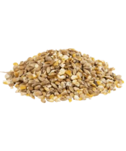 Aliment Pondeuse 20Kg - Versele Laga
