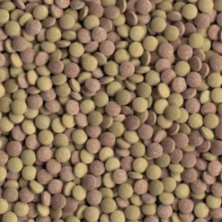 Aliment pour poissons de fond TabiMin Tablets 275 tabs - Tetra
