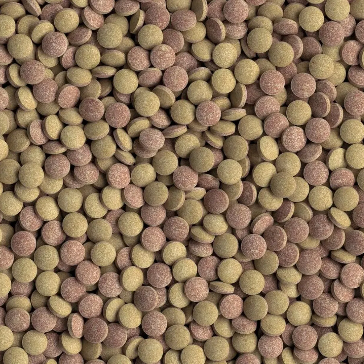 Aliment pour poissons de fond TabiMin Tablets 120 tabs - Tetra