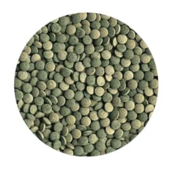 Aliment pour poissons de fond herbivores Pleco Tablets 120 tabs - Tetra