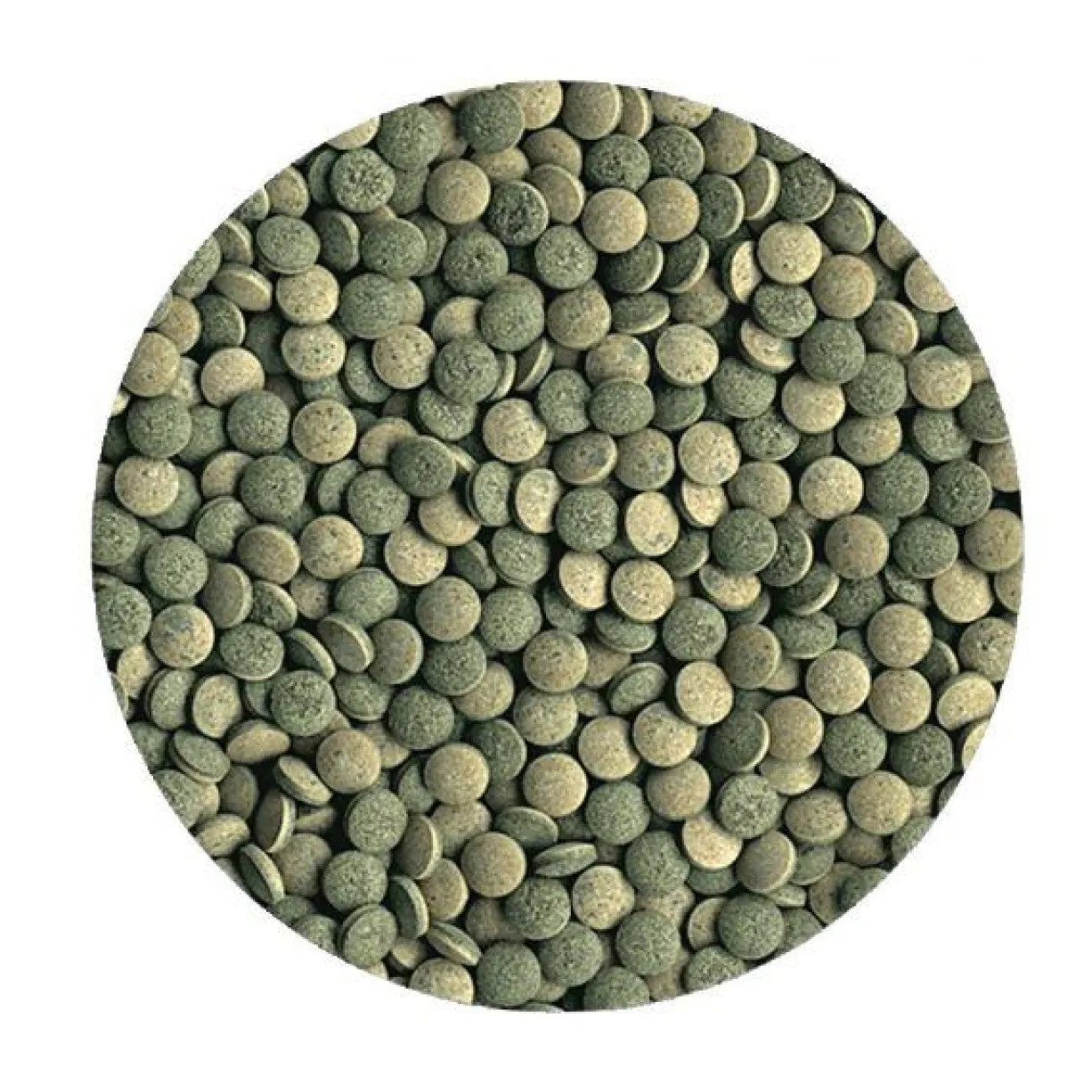 Aliment pour poissons de fond herbivores Pleco Tablets 120 tabs - Tetra