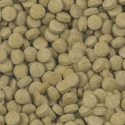 Aliment pour silures et loches Viformo Pleco Tabs Nature 1,4kg - Sera
