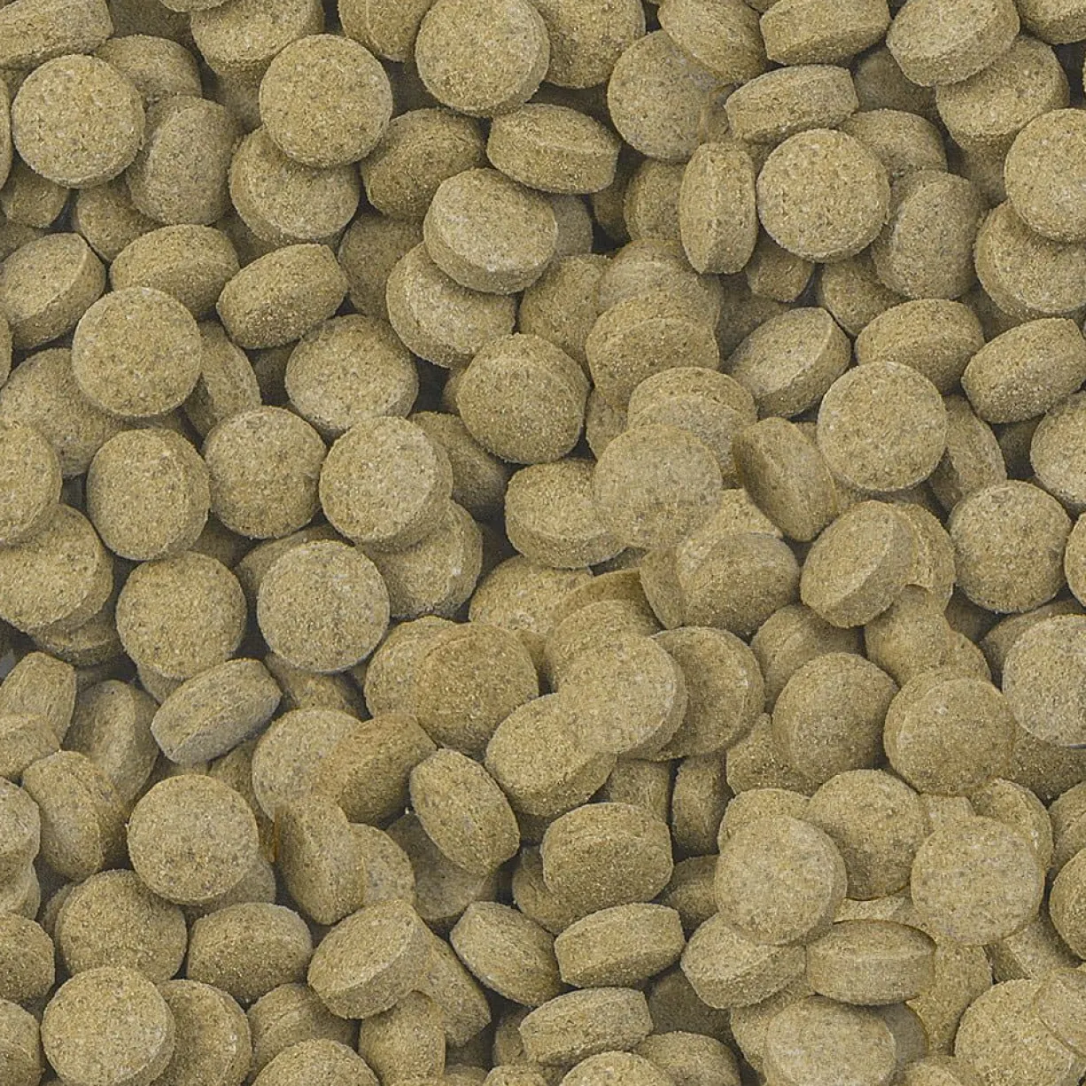 Aliment pour silures et loches Viformo Pleco Tabs Nature 1,4kg - Sera