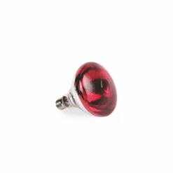 Ampoule Infrarouge PAR de 175W
