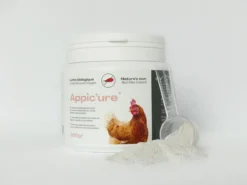 Antiparasitaire en poudre poule et oiseaux Appic’ure 300g - Bestico