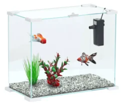 Aquarium Aqua NanoLife First 24 Blanc - Aquatlantis