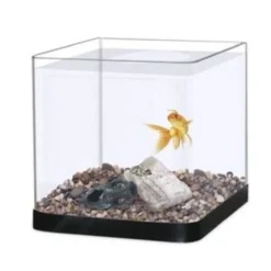 Aquarium poisson combattant bombé 8L noir - Capac