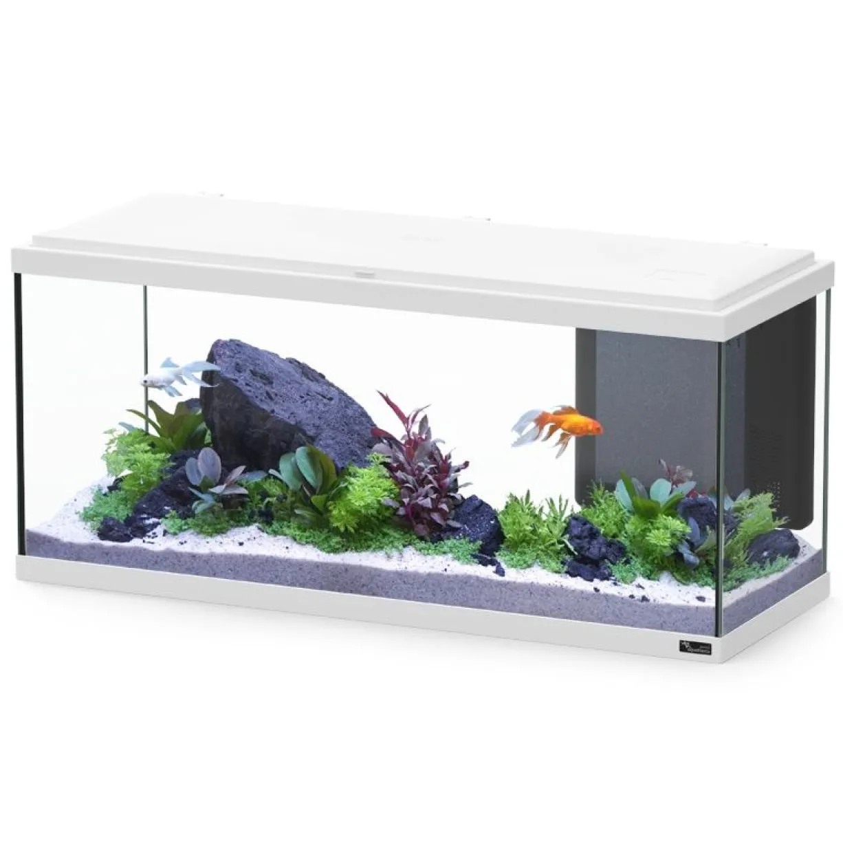 Aquarium poisson Explorer Amsterdam Bio 85L blanc avec BioBox, rampe LED et chauffage - Aquatlantis