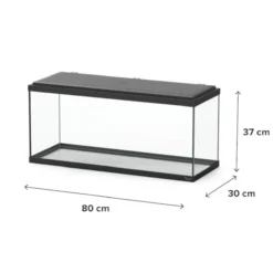 Aquarium poisson Explorer Amsterdam Bio 85L blanc avec BioBox, rampe LED et chauffage - Aquatlantis