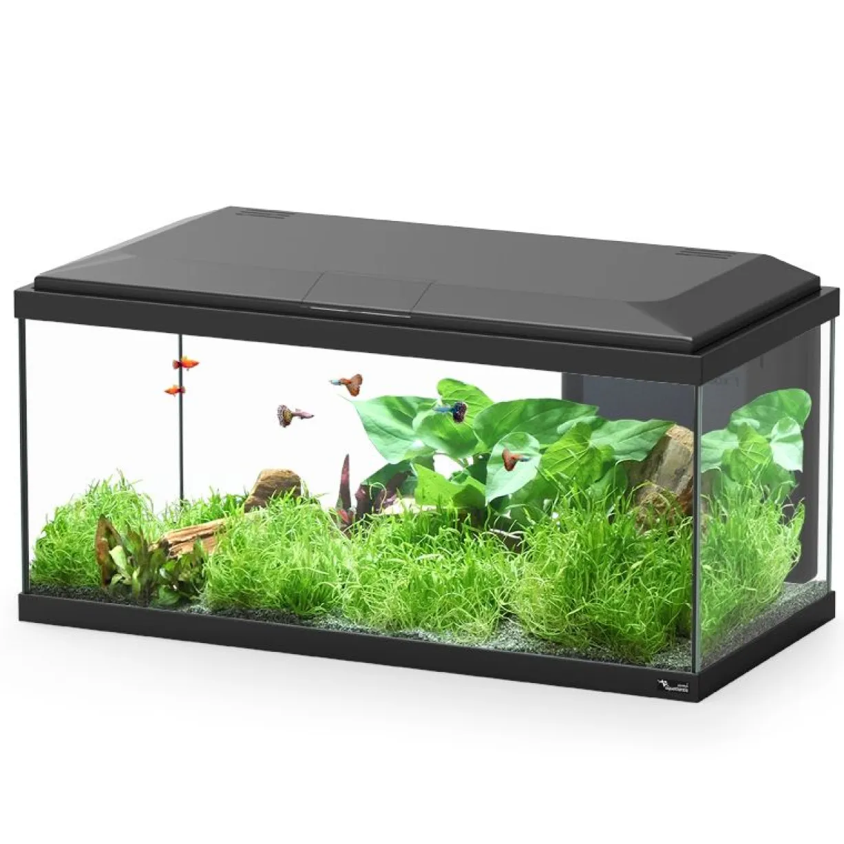 Aquarium poisson Explorer Brussels Bio 105L noir avec BioBox, rampe LED et chauffage - Aquatlantis