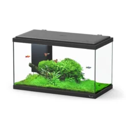 Aquarium poisson Explorer Paris Bio 58L noir avec BioBox, rampe LED et chauffage - Aquatlantis