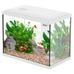 Aquarium poisson Initio 35cm blanc - Zolux