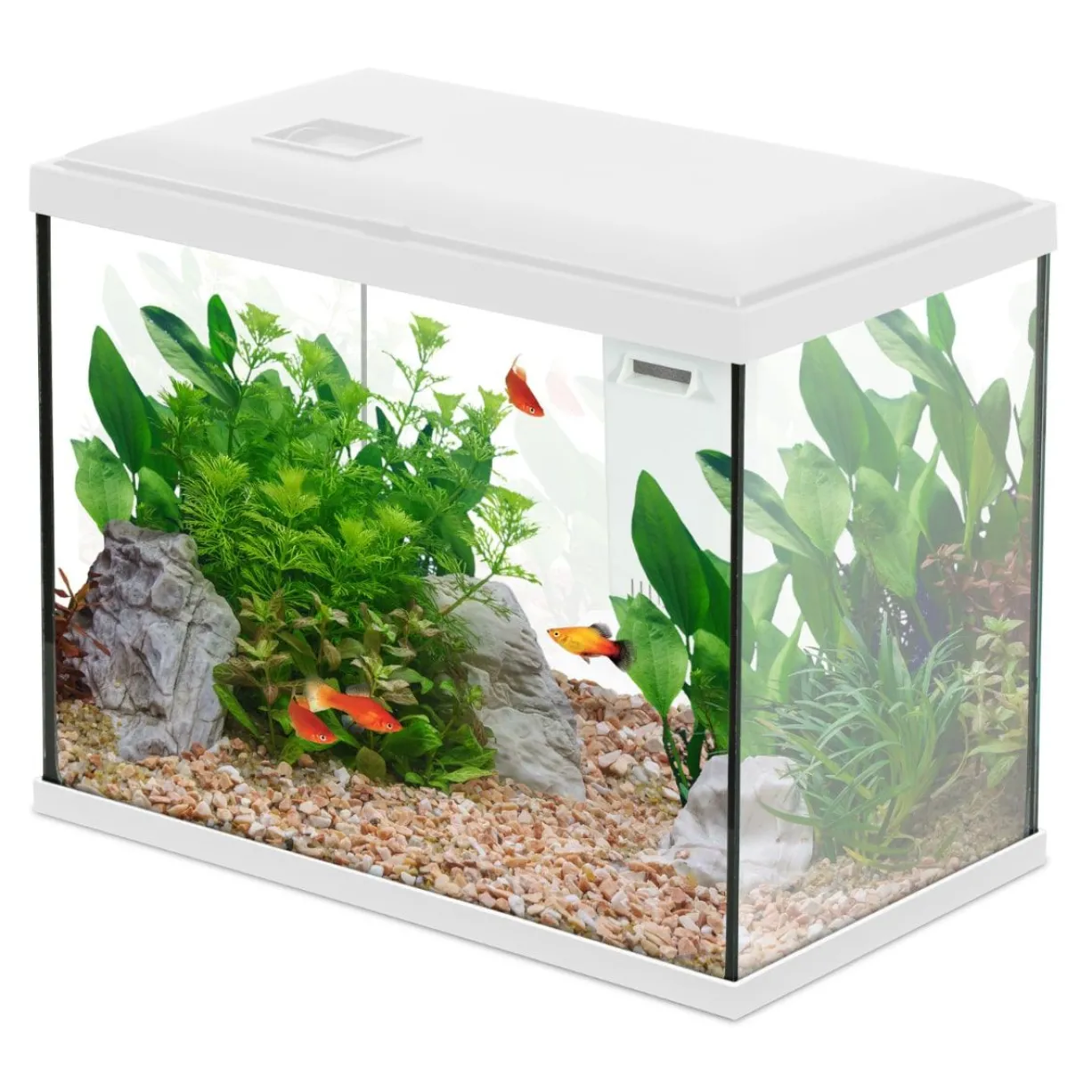 Aquarium poisson Initio 35cm blanc - Zolux