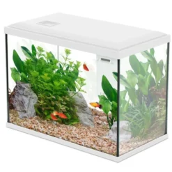 Aquarium poisson Initio 40cm blanc - Zolux