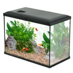 Aquarium poisson Initio 40cm noir - Zolux