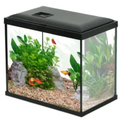 Aquarium poisson Initio 30cm noir - Zolux