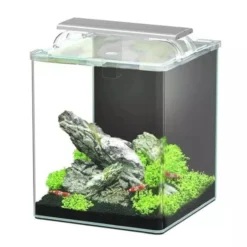 Aquarium poisson Kubus Curve 20L Essential avec Bio Filter et LED - Aquatlantis