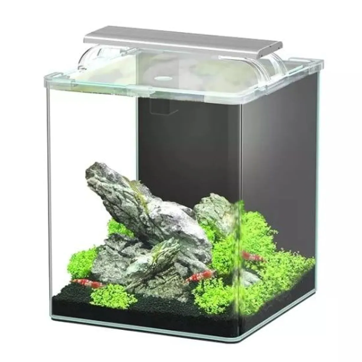 Aquarium poisson Kubus Curve 20L Essential avec Bio Filter et LED - Aquatlantis