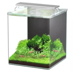 Aquarium poisson Kubus Curve 30L Essential avec Bio Filter et LED - Aquatlantis