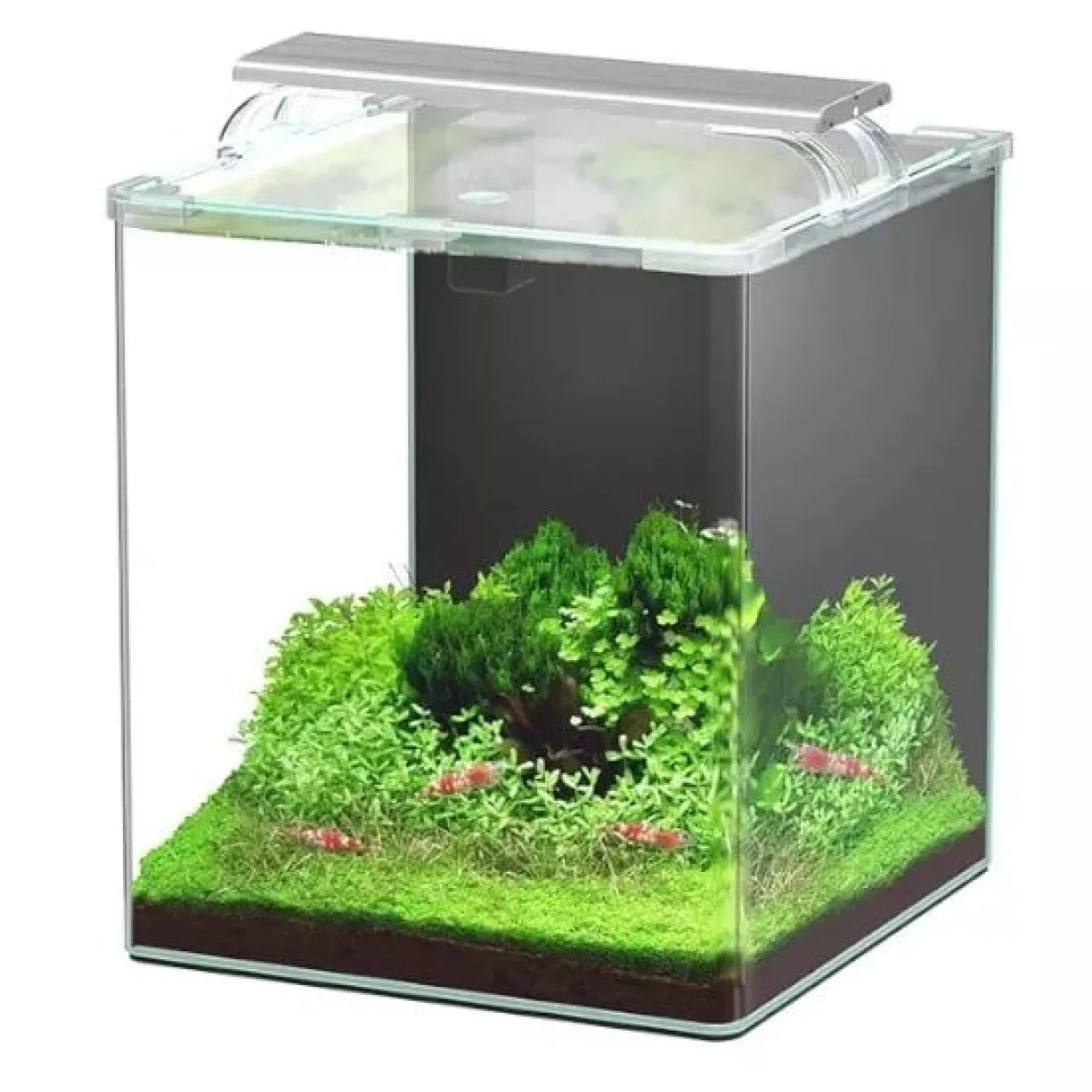 Aquarium poisson Kubus Curve 30L Essential avec Bio Filter et LED - Aquatlantis