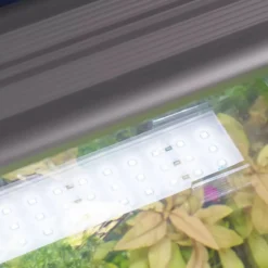 Aquarium poisson Kubus Curve 44L Essential avec Bio Filter et LED - Aquatlantis