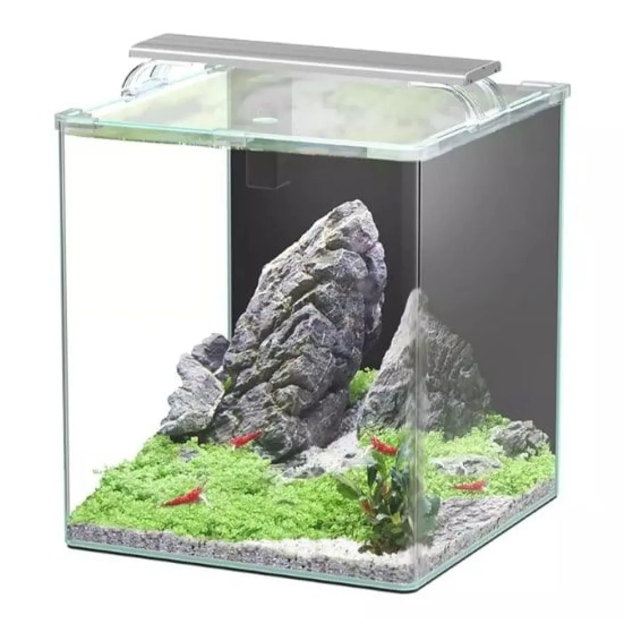 Aquarium poisson Kubus Curve 44L Essential avec Bio Filter et LED - Aquatlantis