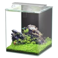 Aquarium poisson Kubus Curve 65L Essential avec Bio Filter et LED - Aquatlantis