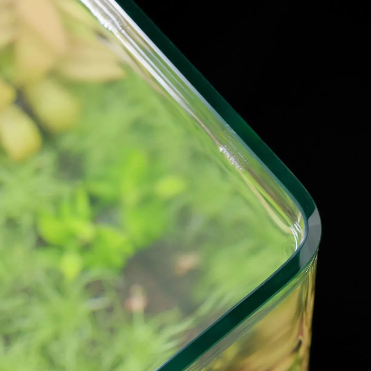Aquarium poisson Kubus Curve 65L Essential avec Bio Filter et LED - Aquatlantis