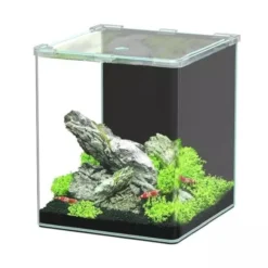 Aquarium poisson Kubus Curve 20L Basic - Aquatlantis