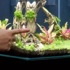 Aquarium poisson Kubus Curve 20L Basic - Aquatlantis