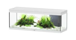 Aquarium poisson Prestige 120 LED 2.0 et Biobox - Aquatlantis