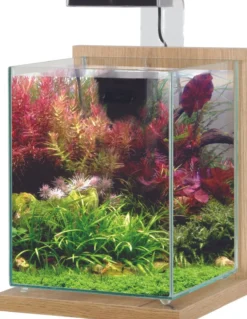 Aquarium poisson équipé 10 litres Jalaya 2 chêne clair - Zolux
