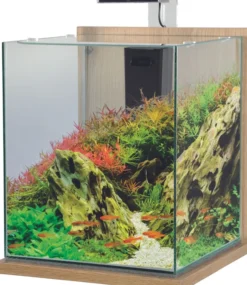Aquarium poisson équipé 31,5 litres Jalaya XXL chêne clair - Zolux