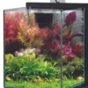 Aquarium poisson équipé 10 litres Jalaya 2 gris anthracite - Zolux