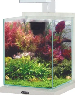 Aquarium poisson équipé 10 litres Jalaya 2 cérusé blanc - Zolux