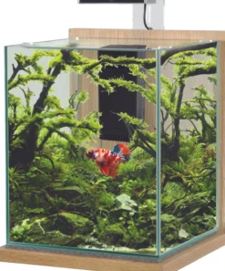 Aquarium poisson équipé 18,7 litres Jalaya XL chêne clair - Zolux