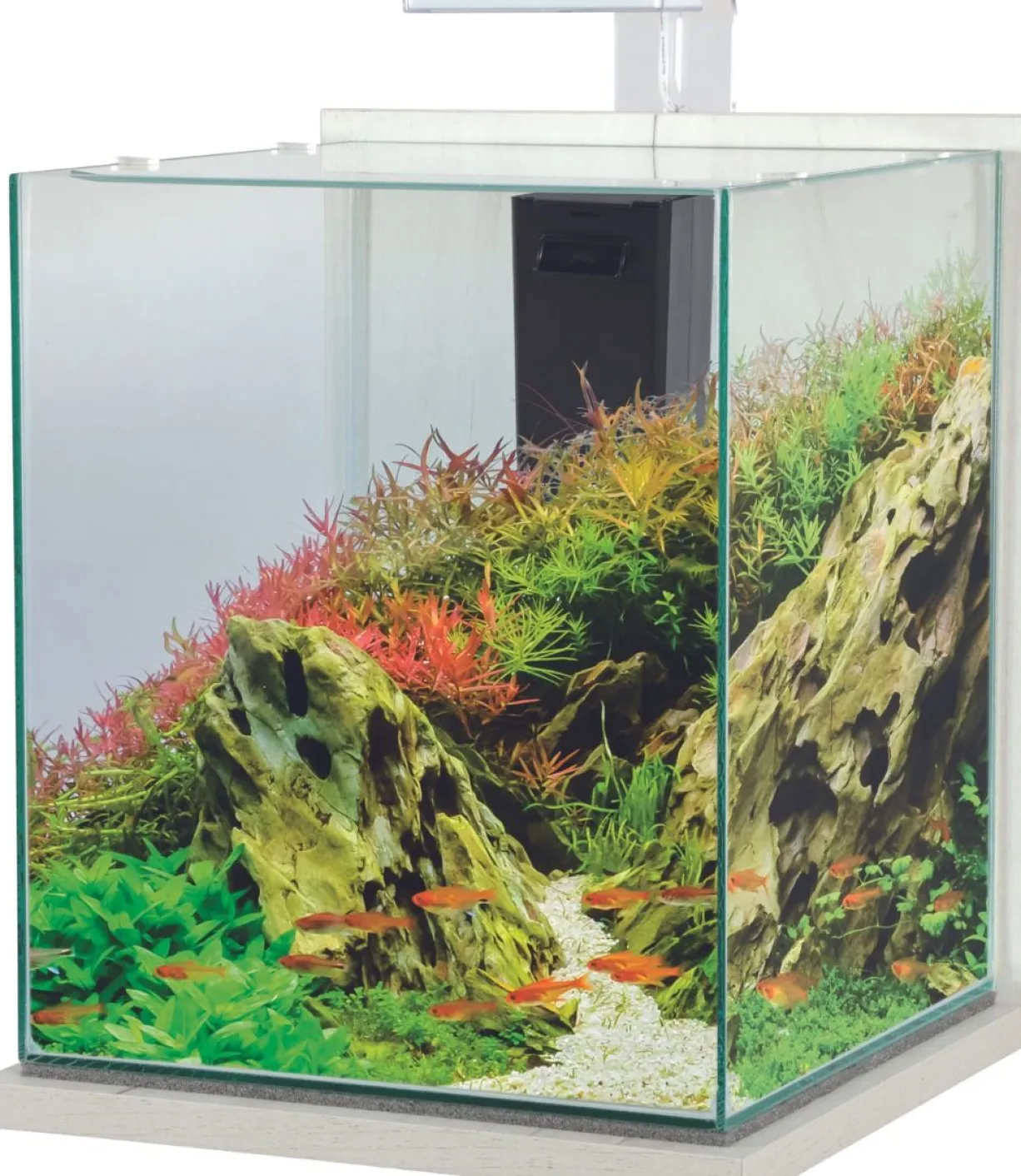 Aquarium poisson équipé 31,5 litres Jalaya XXL cérusé blanc - Zolux