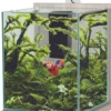 Aquarium poisson équipé 18,7 litres Jalaya XL zebrano gris - Zolux