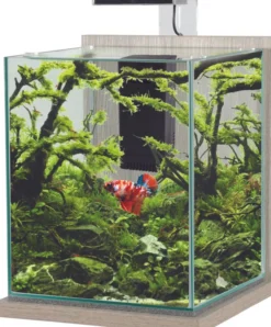 Aquarium poisson équipé 18,7 litres Jalaya XL zebrano gris - Zolux