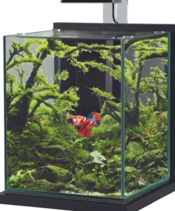 Aquarium poisson équipé 31,5 litres Jalaya XXL zebrano gris - Zolux