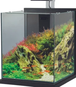 Aquarium poisson équipé 31,5 litres Jalaya XXL gris anthracite - Zolux