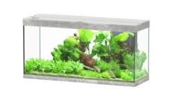 Aquarium poisson Splendid 120 LED 2.0 et Biobox - Aquatlantis