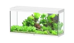 Aquarium poisson Splendid 120 LED 2.0 et Biobox - Aquatlantis