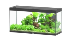 Aquarium poisson Splendid 120 LED 2.0 et Biobox - Aquatlantis