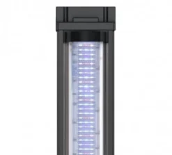 Aquarium poisson Splendid 100 LED 2.0 et Biobox - Aquatlantis